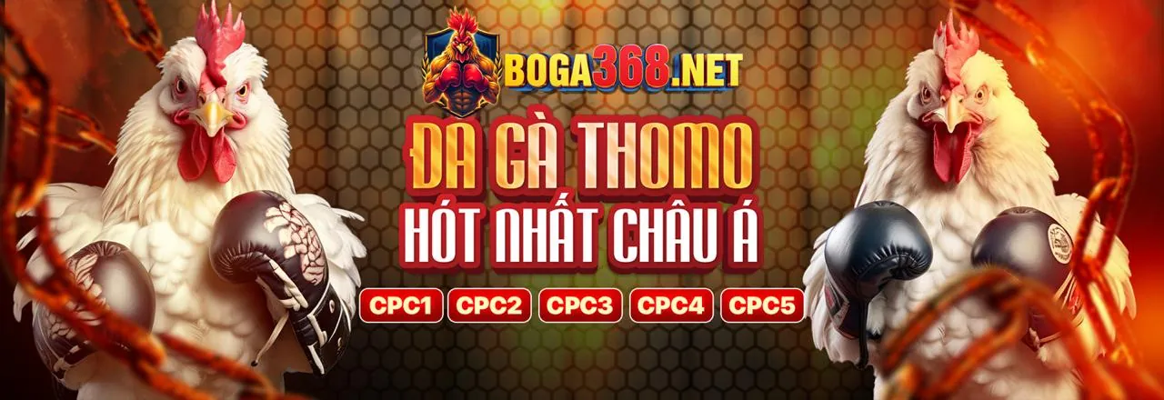 Đá Gà Trực Tuyến Hấp Dẫn tại 36win nhà cái
